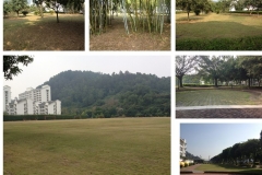camp03